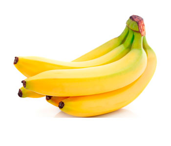 Texto de Odoo y bloque de imagen