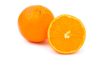 Imagen de Odoo y bloque de texto