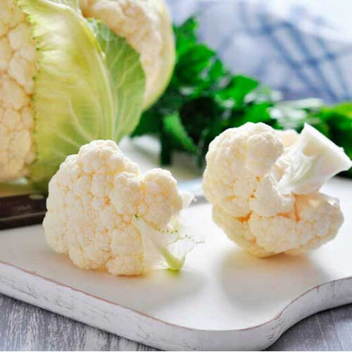 Imagen de Odoo y bloque de texto