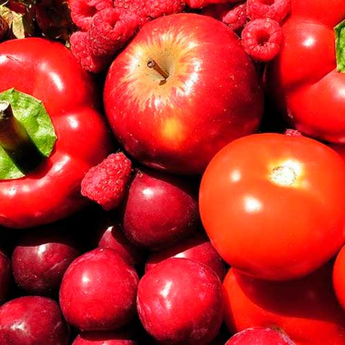 Texto de Odoo y bloque de imagen