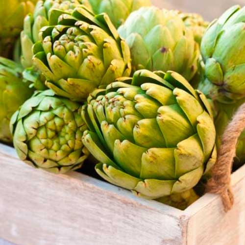 Imagen de Odoo y bloque de texto