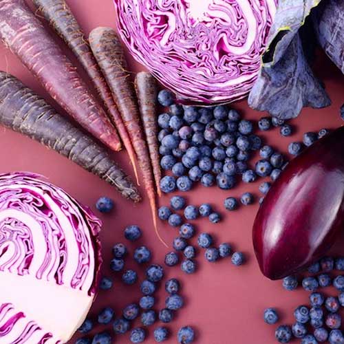 Texto de Odoo y bloque de imagen